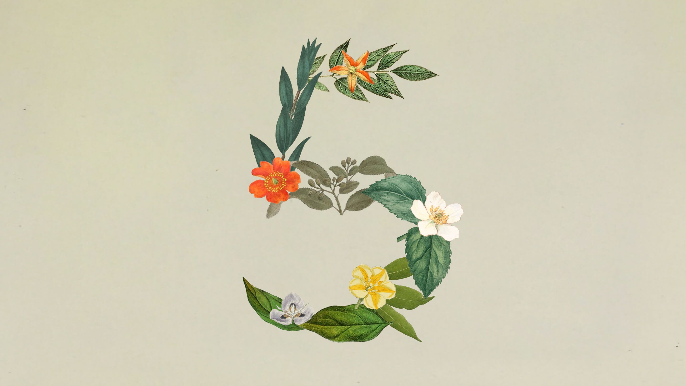 A mix of flowers and leaves forming the number 5 for the Claude Sonnet 5 announcement