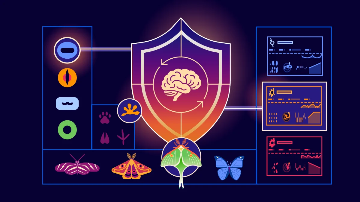 Cloudflare Adaptive Intelligence illustration for AI-powered traffic analysis
